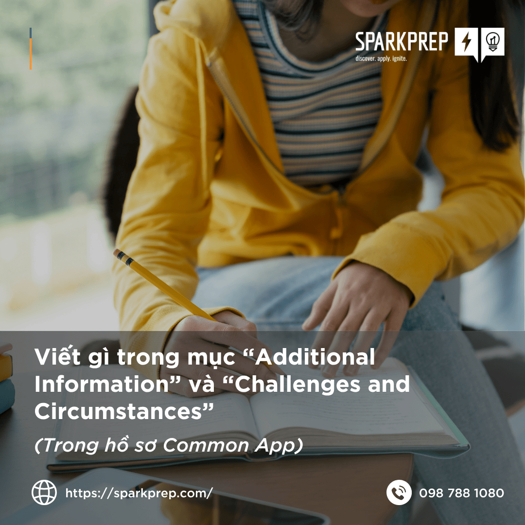 “Additional Information” & “Challenges and Circumstances”: Viết sao cho đúng